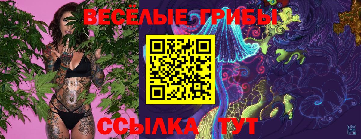 Псилоцибиновые грибы MAGIC MUSHROOMS  Псилоцибиновые грибы Psilocybe  Назарово  Вход с VPN 